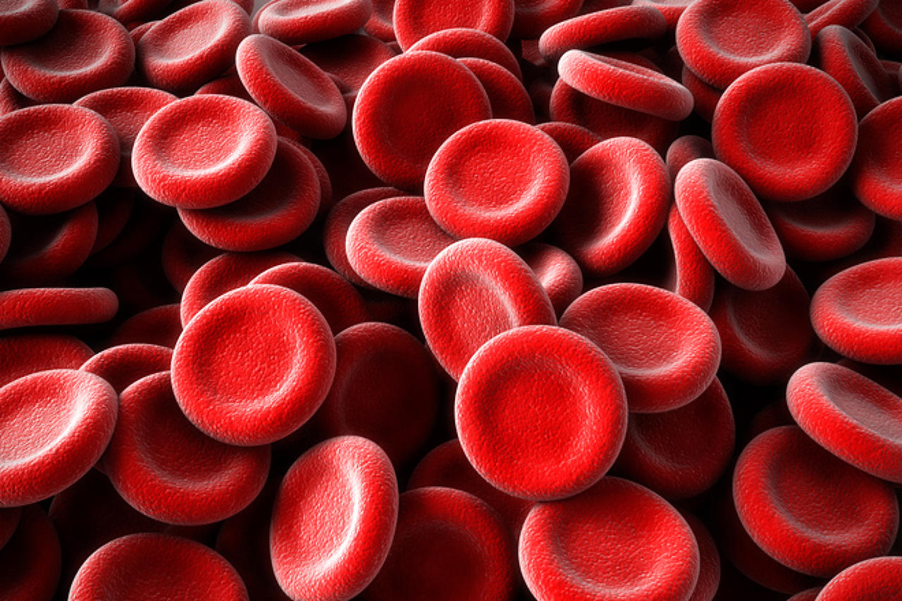Как улучшить качество крови в организме?