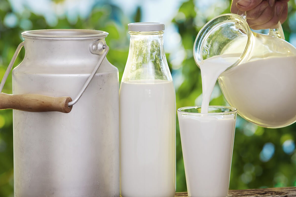 Польза и вред молочных продуктов